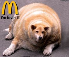 Mcdonald's Fat Dog